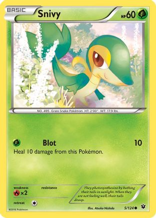 Snivy 005/124 - XY Fates Collide