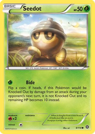 Seedot 009/114 - XY Steam Siege Reverse Holofoil