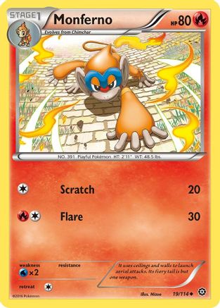 Monferno 019/114 - XY Steam Siege Reverse Holofoil