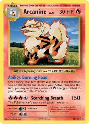 Arcanine 018/108 - XY Evolutions Reverse Holofoil