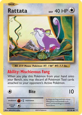 Rattata 066/108 - XY Evolutions