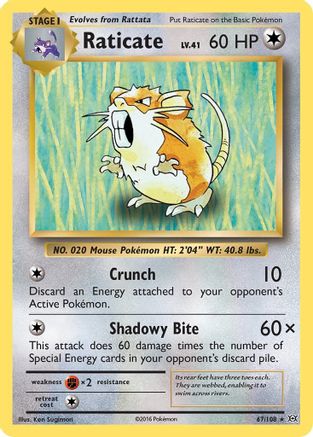 Raticate 067/108 - XY Evolutions Reverse Holofoil