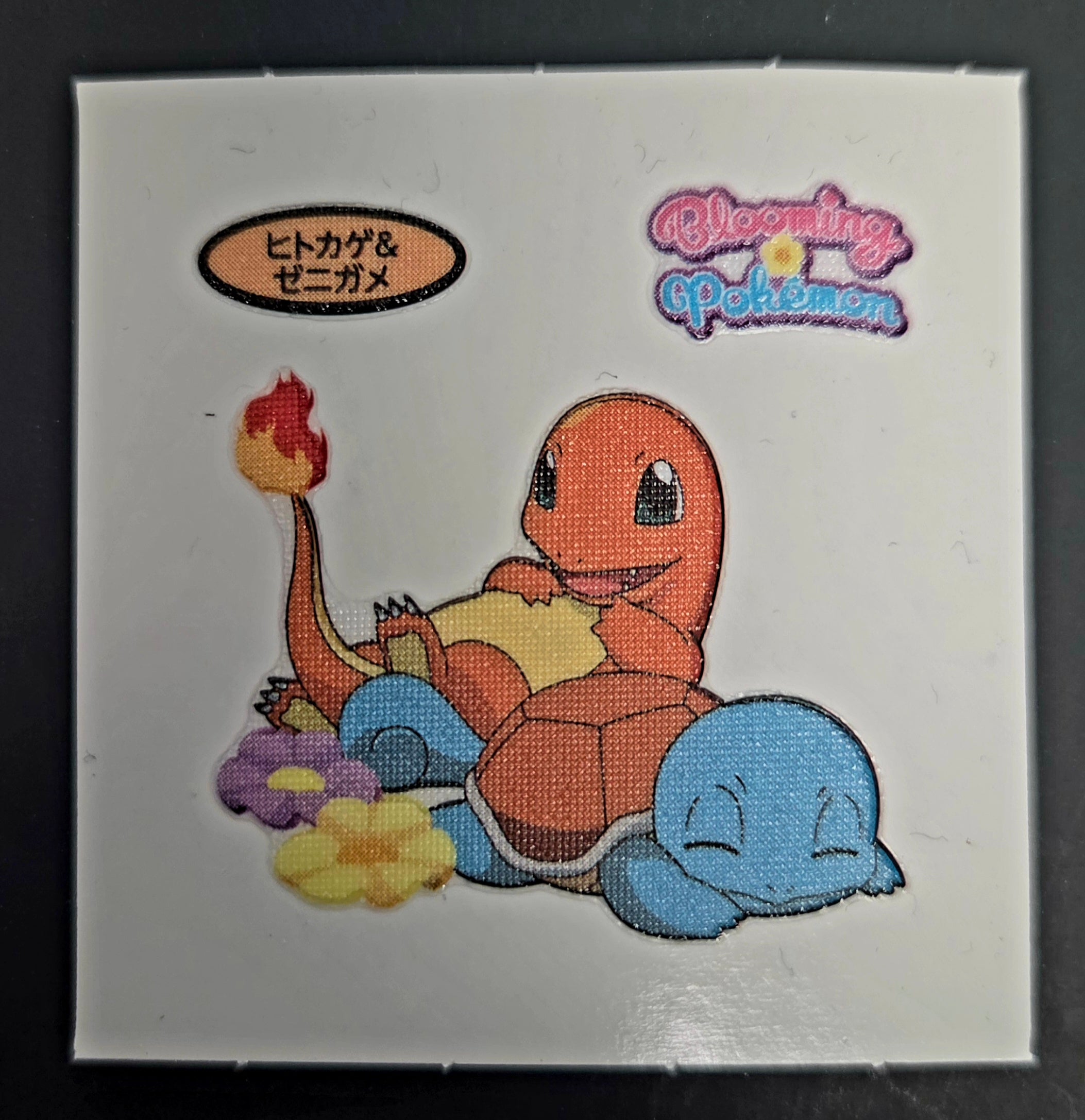 Pokemon Bread Seal Deco Character Sticker - Charmander & Squirtle