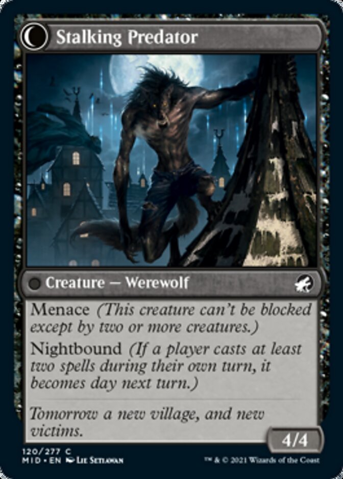 Shady Traveler // Stalking Predator (MID-120) - Innistrad: Midnight Hunt: (Double Faced Transform) Foil