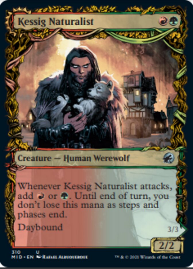 Kessig Naturalist // Lord of the Ulvenwald (MID-310) - Innistrad: Midnight Hunt: (Showcase, Double Faced Transform) Foil