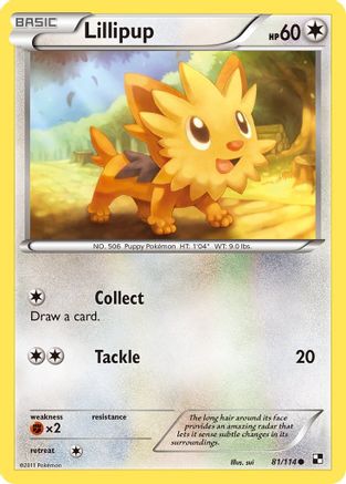 Lillipup 081/114 - Black and White Reverse Holofoil