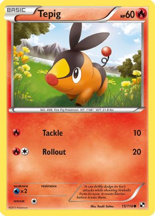 Tepig 015/114 - Black and White
