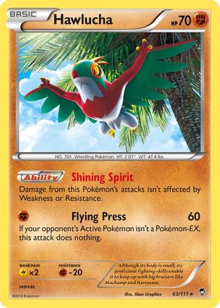 Hawlucha 063/111 - XY Furious Fists Holofoil