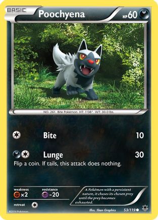 Poochyena 053/119 - XY Phantom Forces