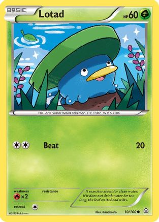Lotad 010/160 - XY Primal Clash