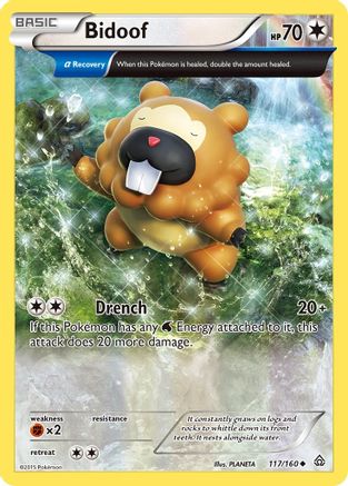Bidoof (Alpha) 117/160 - XY Primal Clash Reverse Holofoil