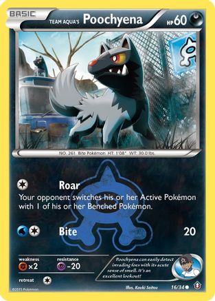 Team Aqua's Poochyena 016/34 - Double Crisis Reverse Holofoil
