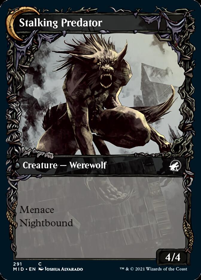 Shady Traveler // Stalking Predator (MID-291) - Innistrad: Midnight Hunt: (Showcase, Double Faced Transform) Foil