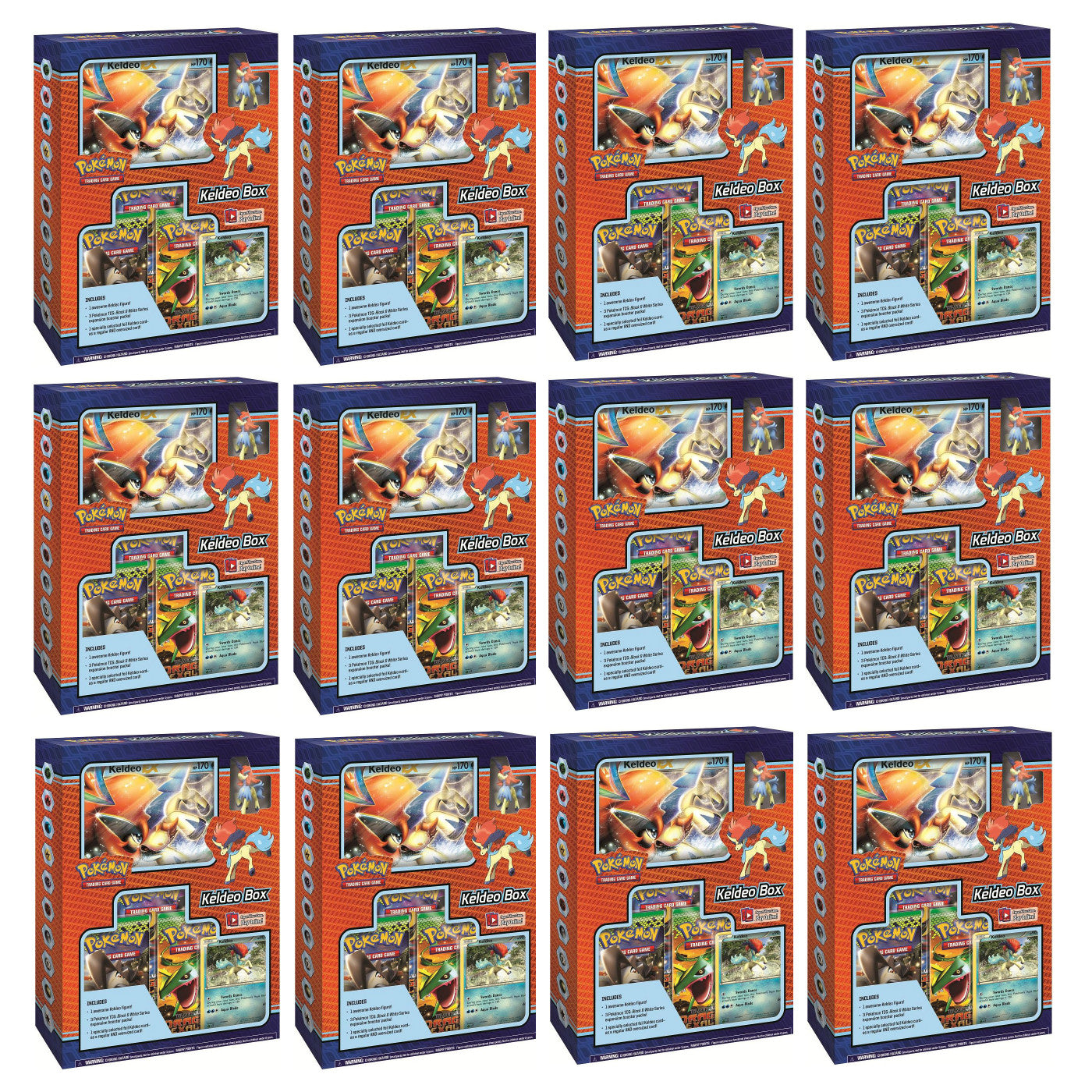 Black & White - Keldeo Box Display