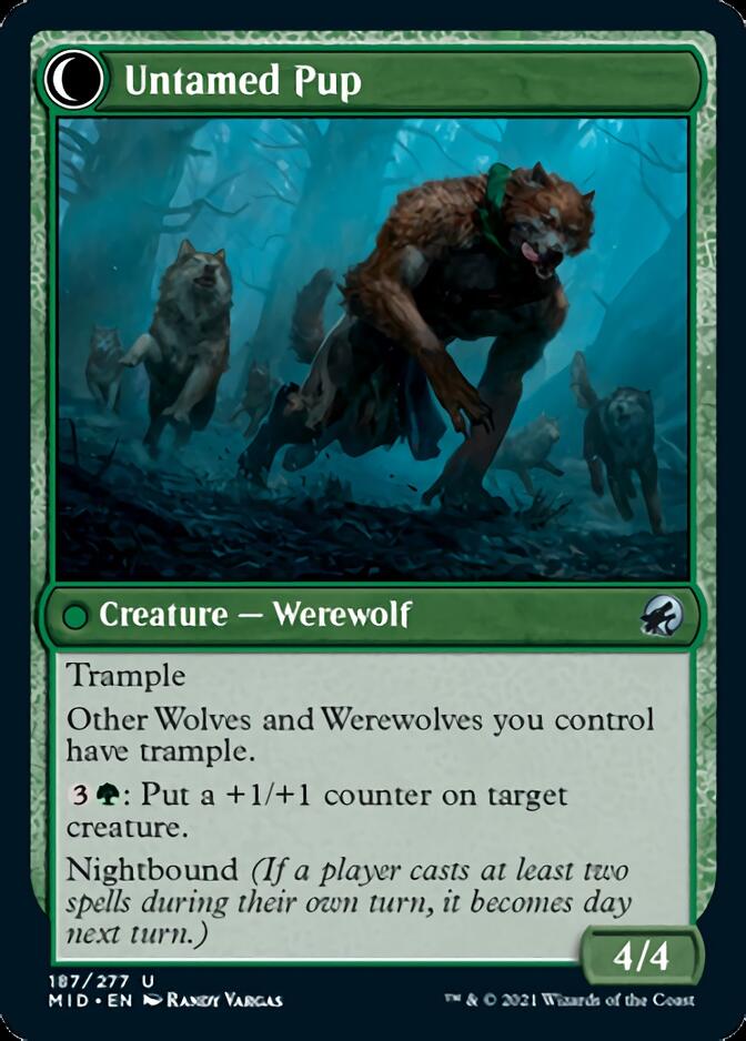 Hound Tamer // Untamed Pup (MID-187) - Innistrad: Midnight Hunt: (Double Faced Transform)