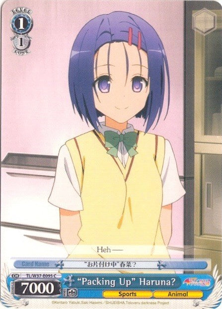 "Packing Up" Haruna? (TL/W37-E095 C) - To Loveru Darkness 2nd