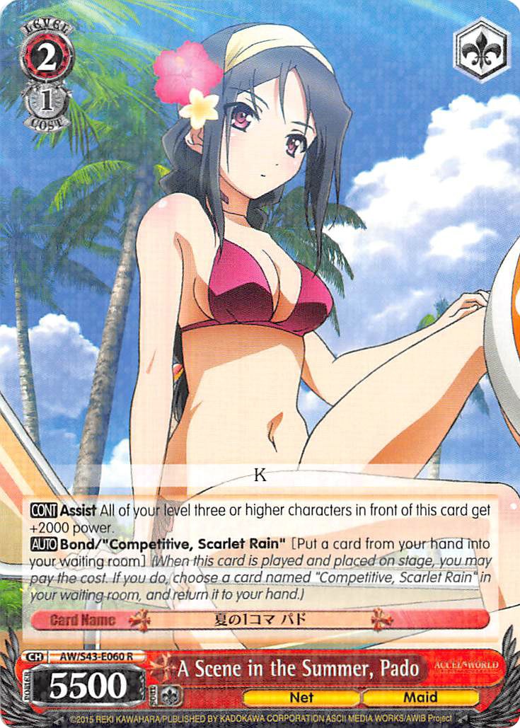A Scene in the Summer, Pado (AW/S43-E060 R) - Accel World -Infinite Burst-
