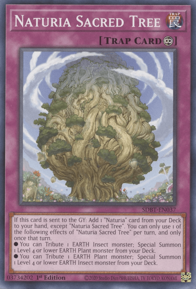 Naturia Sacred Tree [SDBT-EN037] Common - Josh's Cards