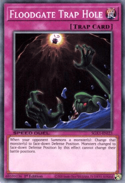 Floodgate Trap Hole [SGX1-ENI23] Common - Josh's Cards