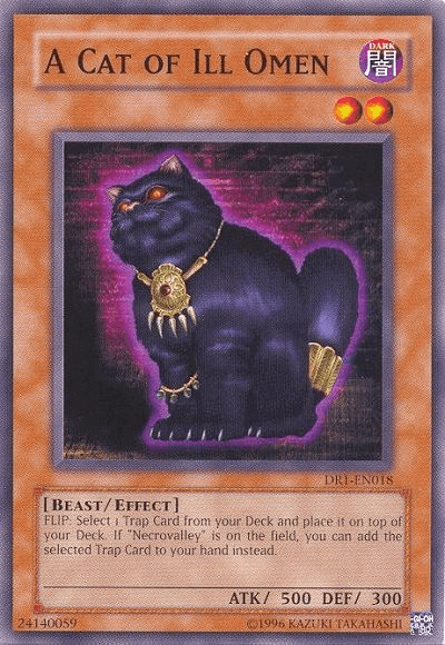 A Cat of Ill Omen [DR1-EN018] Common - Josh's Cards