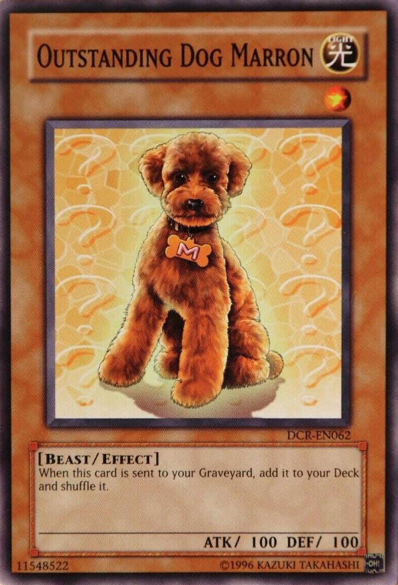 Outstanding Dog Marron [DCR-EN062] Common - Josh's Cards