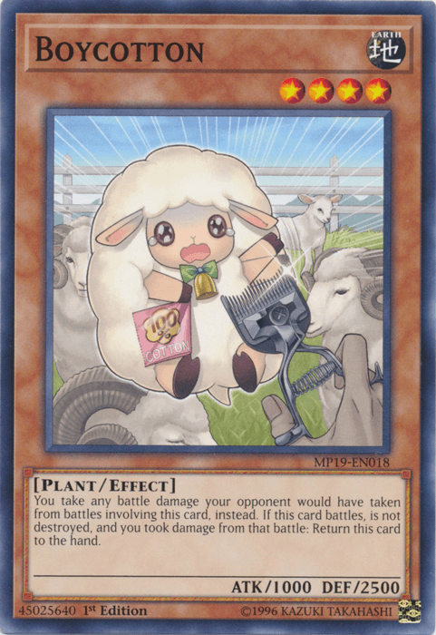 Boycotton [MP19-EN018] Common - Josh's Cards