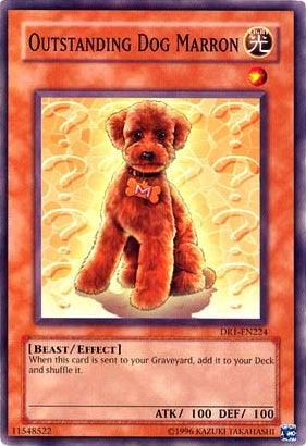 Outstanding Dog Marron [DR1-EN224] Common - Josh's Cards