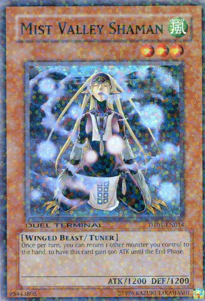 Mist Valley Shaman [DT01-EN014] Super Rare - Josh's Cards