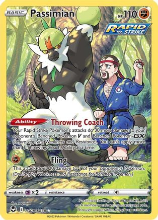 Passimian TG08/TG30 - SWSH12 Silver Tempest Trainer Gallery Holofoil