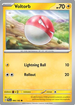 Voltorb [66] (SV02: Paldea Evolved)