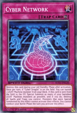 Cyber Network [SGX1-ENG20] Common - Josh's Cards
