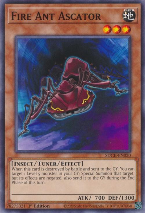 Fire Ant Ascator [SDCK-EN020] Common - Josh's Cards