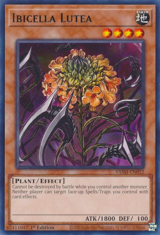 Ibicella Lutea [VASM-EN052] Rare - Josh's Cards