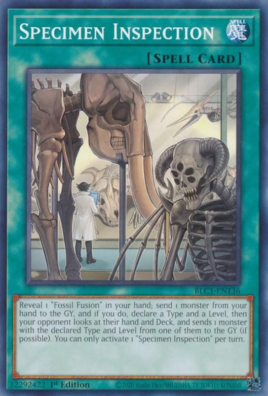 Specimen Inspection [BLC1-EN136] Common - Josh's Cards