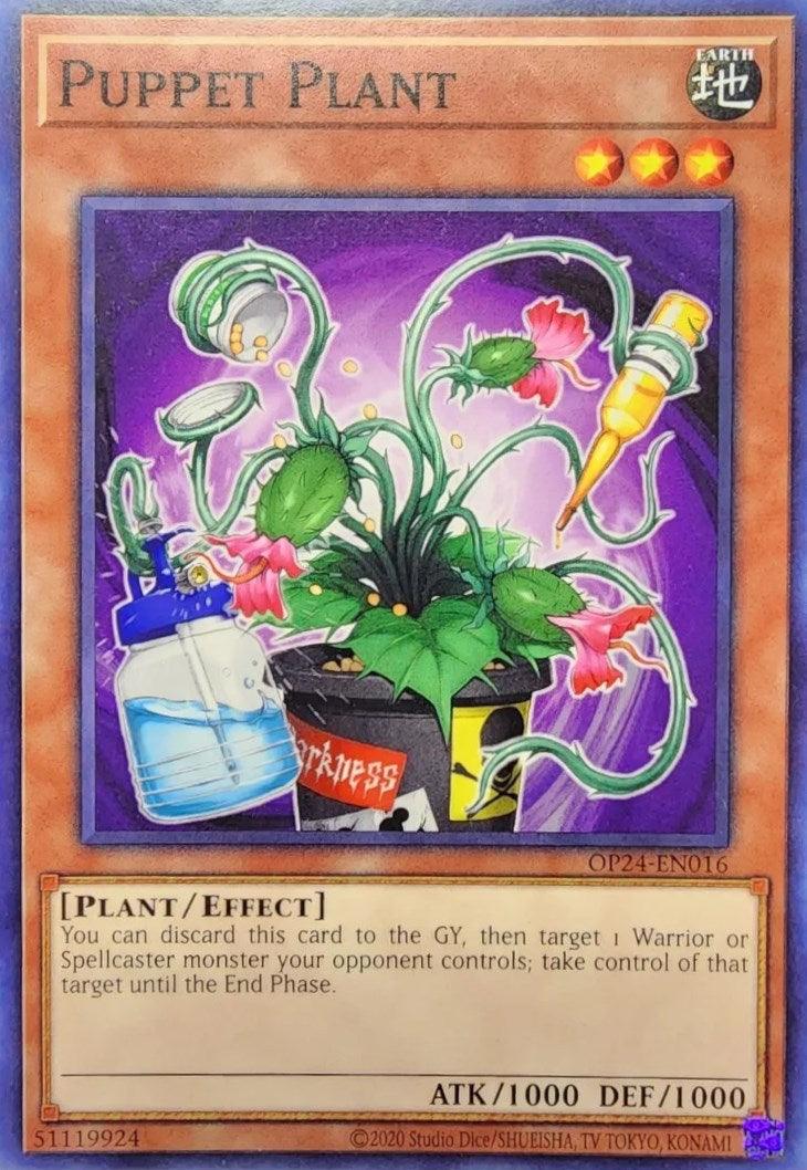 Puppet Plant [OP24-EN016] Common - Josh's Cards