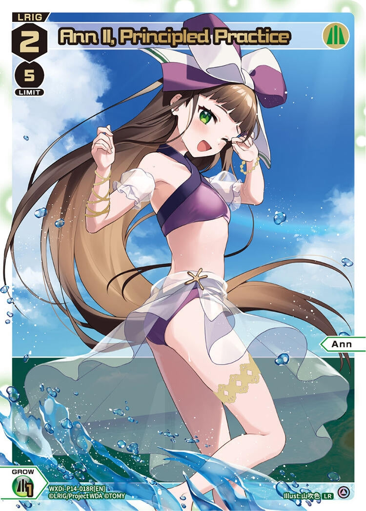 Ann II Principled Practice LR (WXDi-P14-018R[EN]) [WXDi-P14]