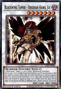 Blackwing Tamer - Obsidian Hawk Joe [LDS2-EN042] Common - Josh's Cards