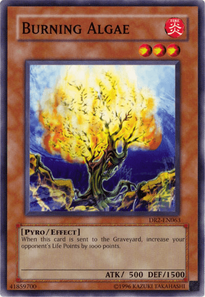 Burning Algae [DR2-EN063] Common - Josh's Cards