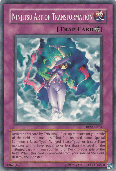 Ninjitsu Art of Transformation [DR2-EN164] Common - Josh's Cards