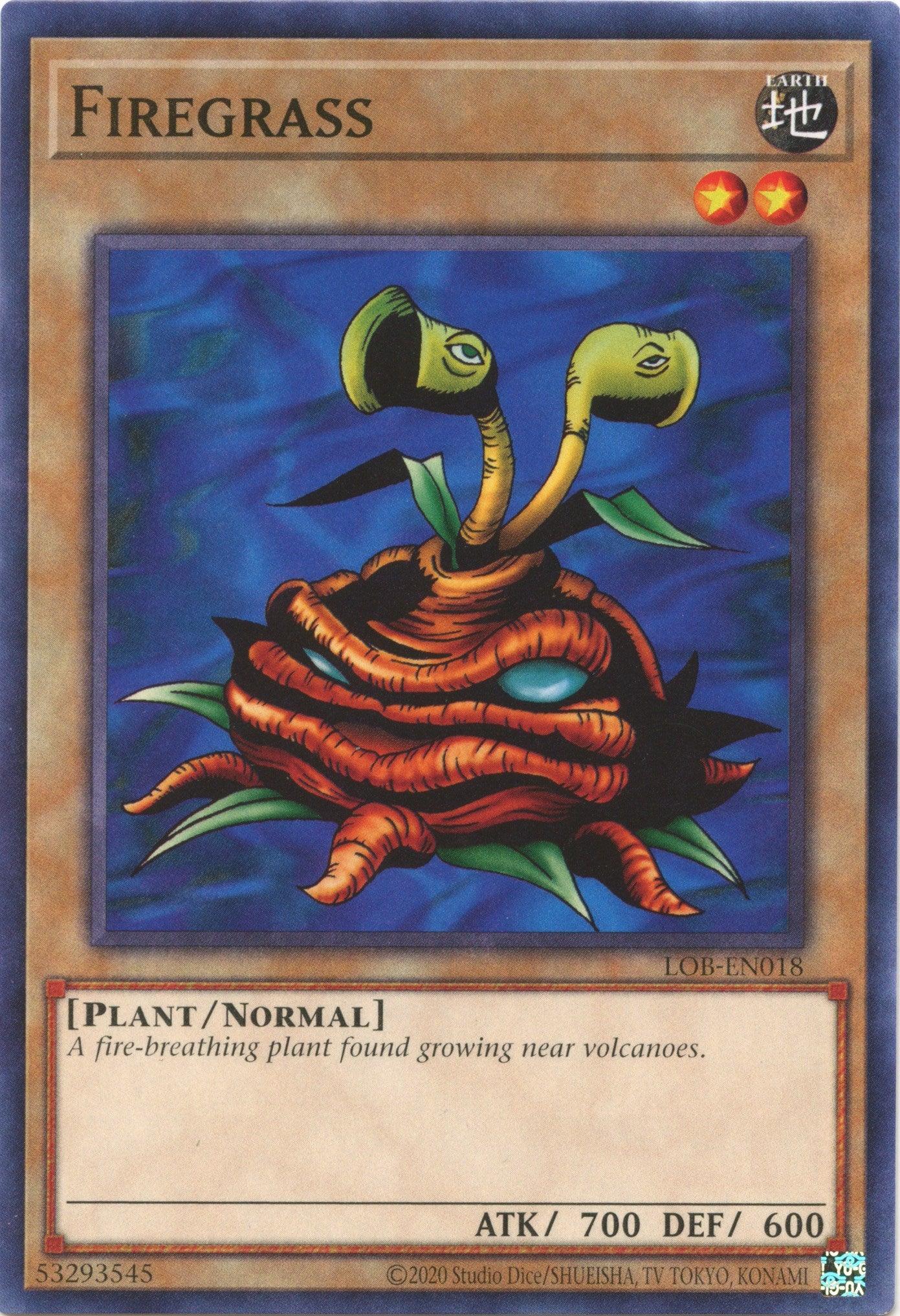 Firegrass (25th Anniversary) [LOB-EN018] Common - Josh's Cards