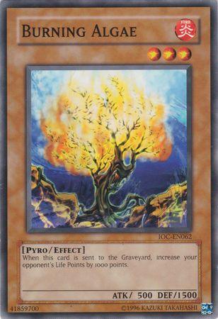 Burning Algae [IOC-EN062] Common - Josh's Cards