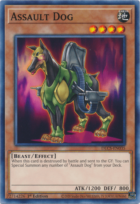 Assault Dog [DLCS-EN035] Common - Josh's Cards