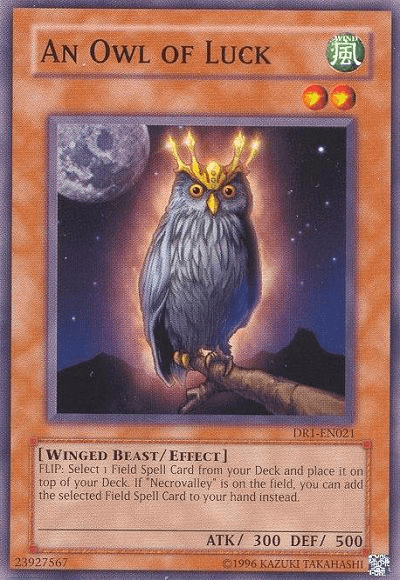 An Owl of Luck [DR1-EN021] Common - Josh's Cards
