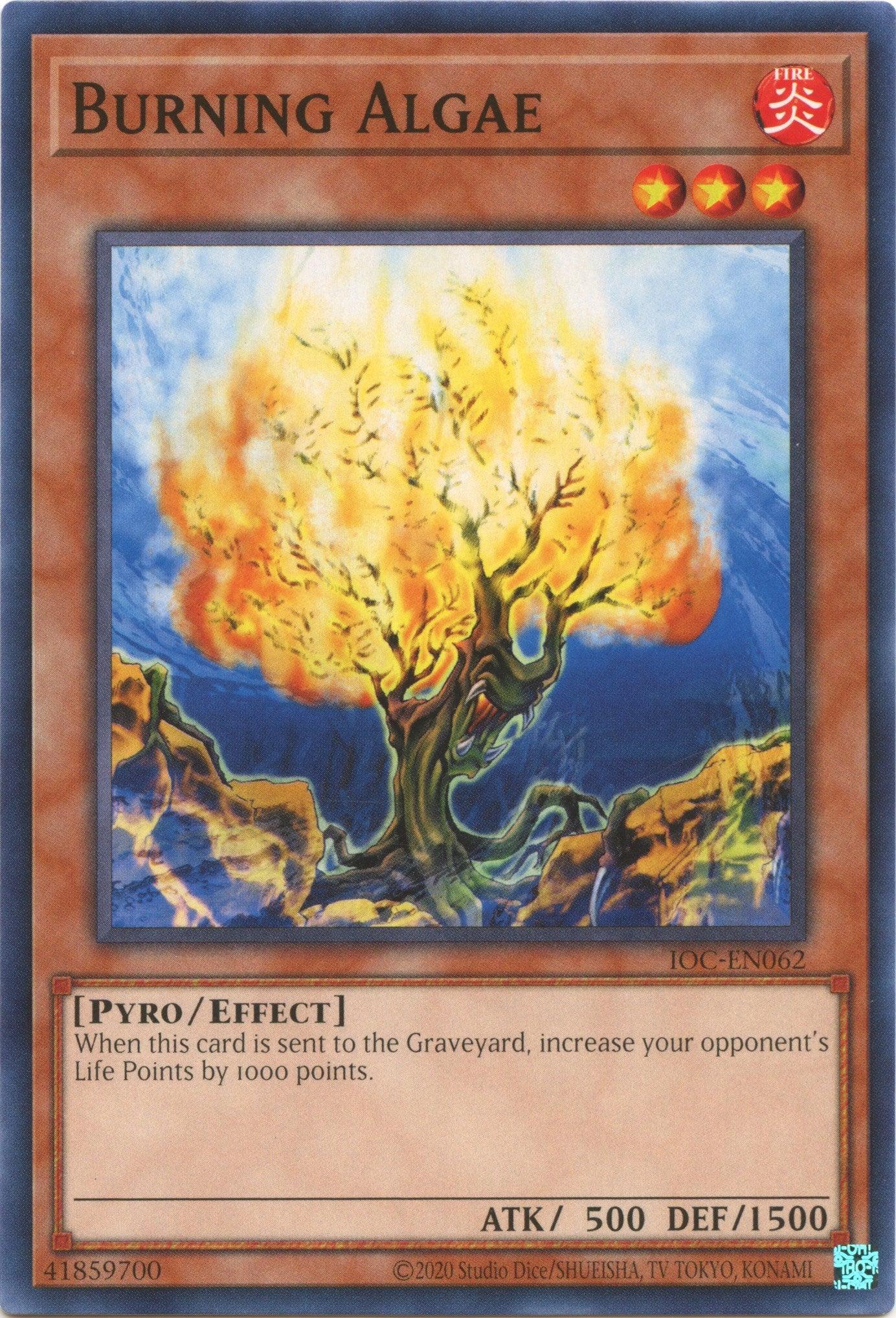 Burning Algae (25th Anniversary) [IOC-EN062] Common - Josh's Cards