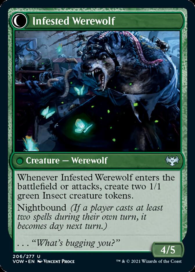 Infestation Expert // Infested Werewolf (VOW-206) - Innistrad: Crimson Vow: (Double Faced Transform) Foil