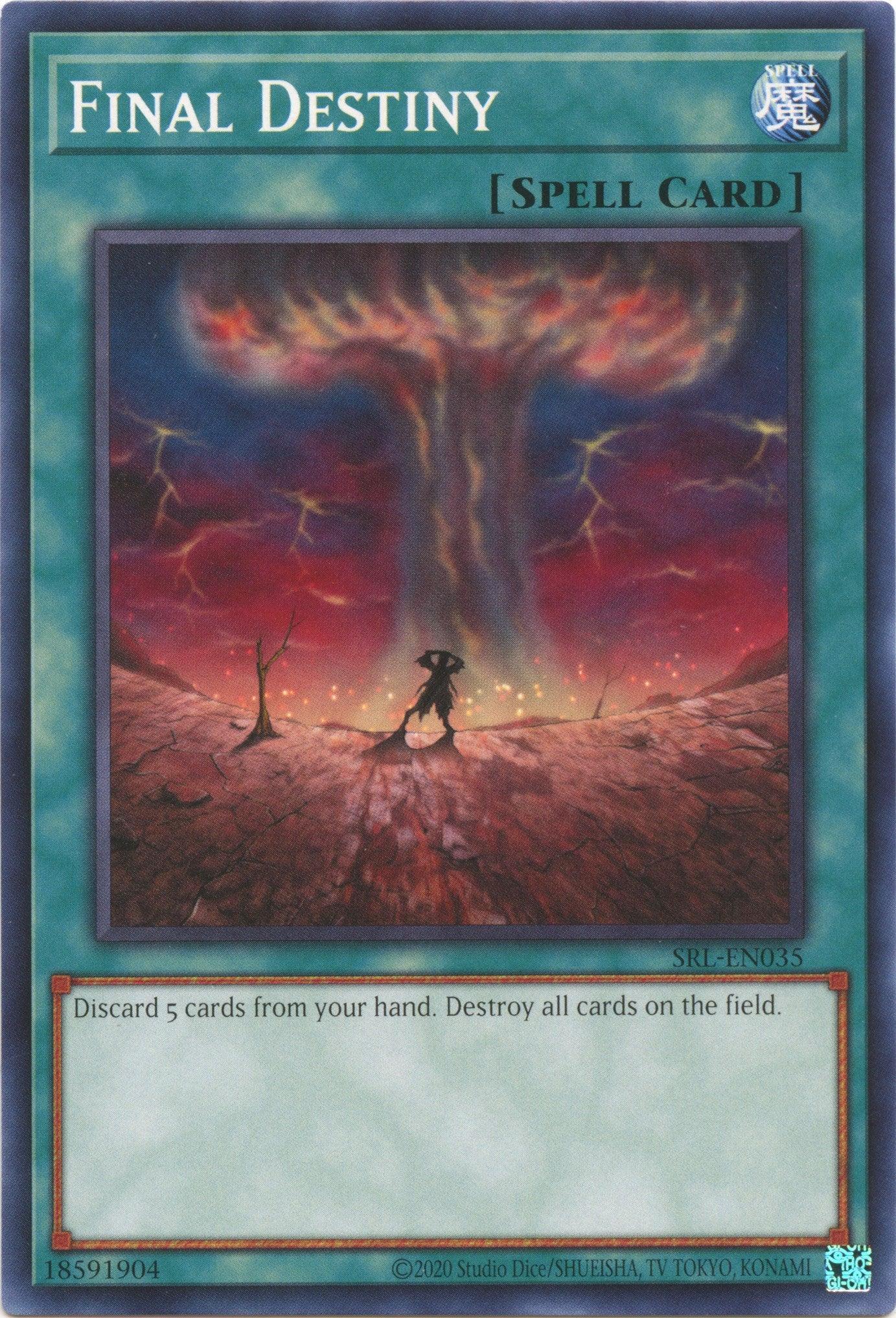 Final Destiny (25th Anniversary) [SRL-EN035] Common - Josh's Cards