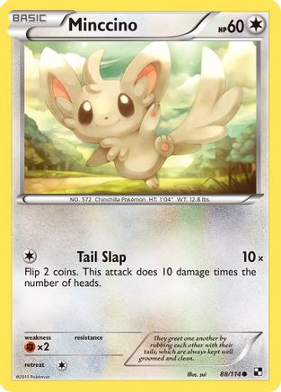Minccino 088/114 - Black and White Reverse Holofoil
