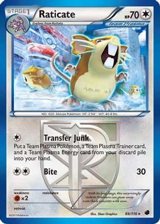 Raticate (Team Plasma) 088/116 - Plasma Freeze Reverse Holofoil