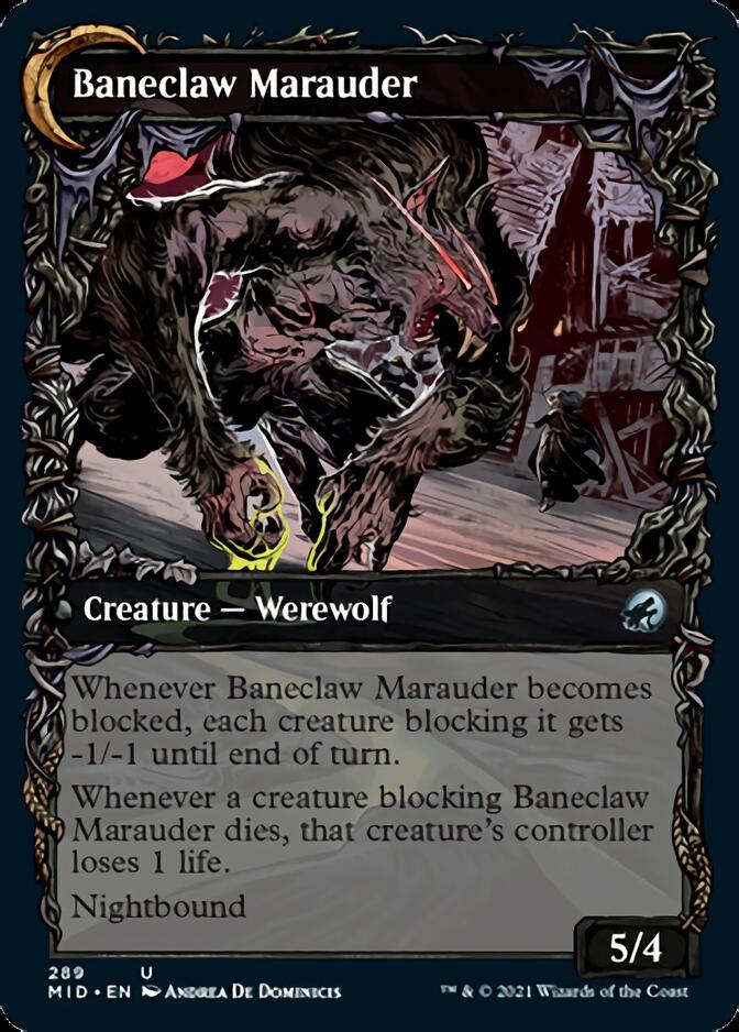 Baneblade Scoundrel // Baneclaw Marauder (MID-289) - Innistrad: Midnight Hunt: (Showcase, Double Faced Transform) Foil