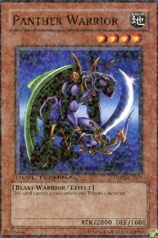 Panther Warrior [DT02-EN055] Common - Josh's Cards